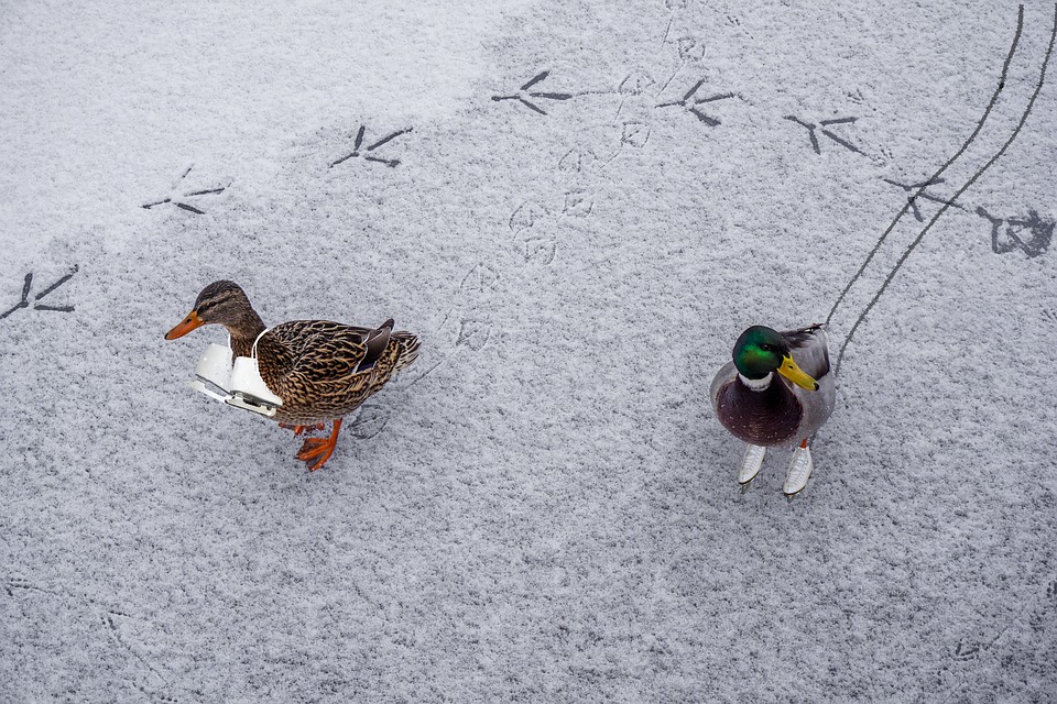 Mentale training schaatsen