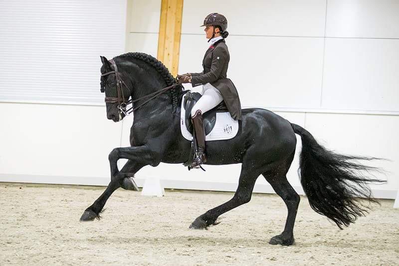 Mentale training paardensport